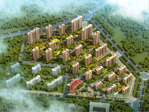 烟台香橙